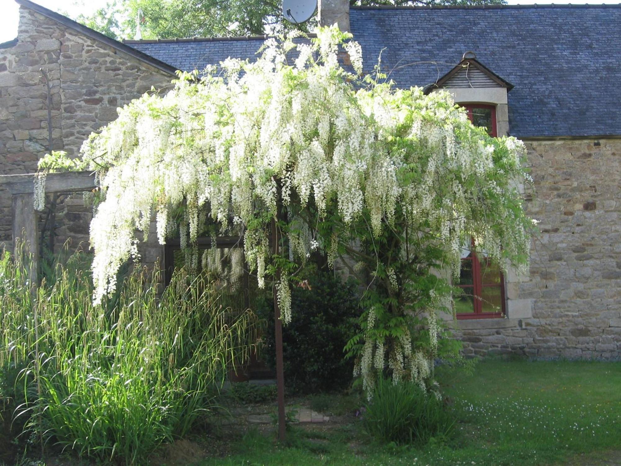 Bed and Breakfast La Guyonnais Quevert Экстерьер фото